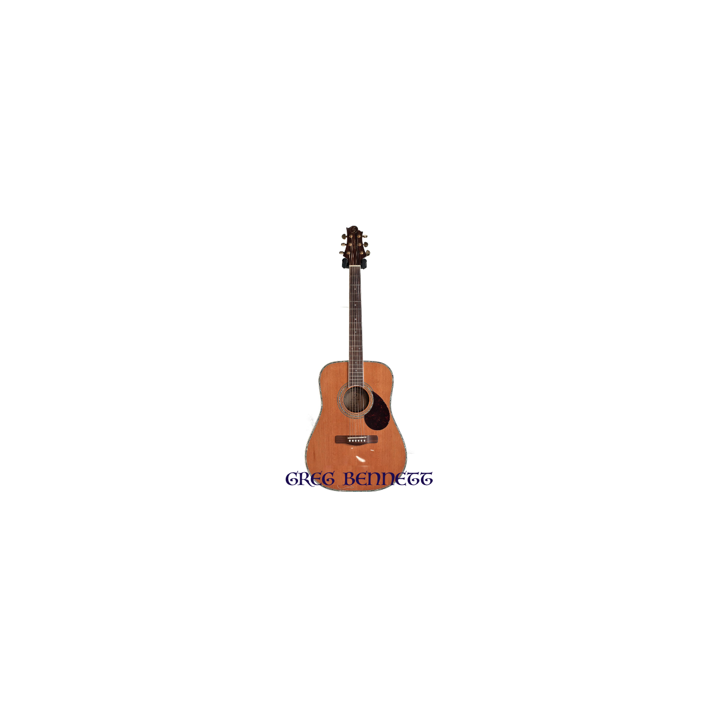 CHITARRA ACUSTICA GREG D8