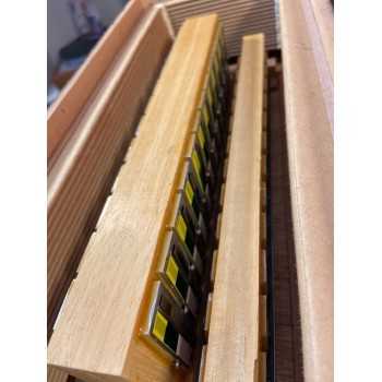 USATO - HOHNER TANGO IV P 37/96/4 LMMH piccolo, col. black - NERO