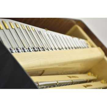 Scandalli mod. Extreme Plus (conservatorio) 47/120/4°- 4 ° Free Bass,LMMH col. BLACK - Nero