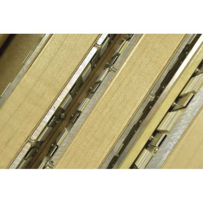 Scandalli mod. Extreme Plus (conservatory)...