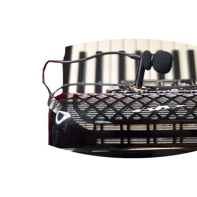 Kit of microphones magnetised for accordion...