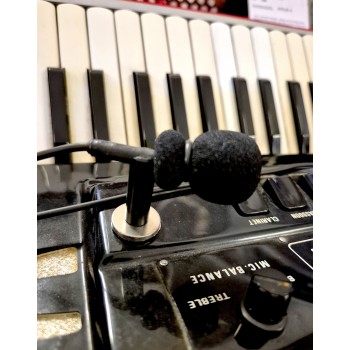 Kit of microphones magnetised for accordion MAGNET made...