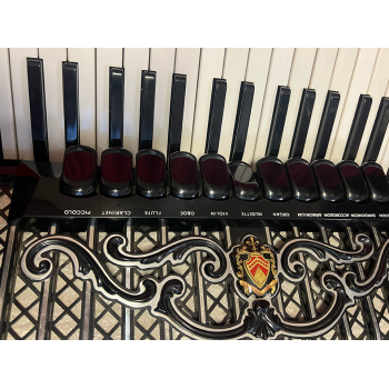 USED - Scandalli mod. Super VI, 2 voices in cassotto 41/120/4/5 LMMH amplif. L/R, handmade voices, BLACK