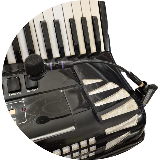 JTS UR816DB-UT16GT SIST.WIRELESS ACCORDION...