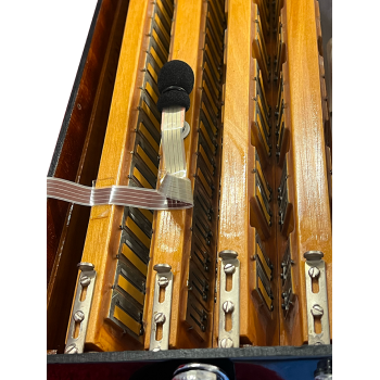 Microfono interno anti-larsen per fisarmonica LEFT/RIGHT