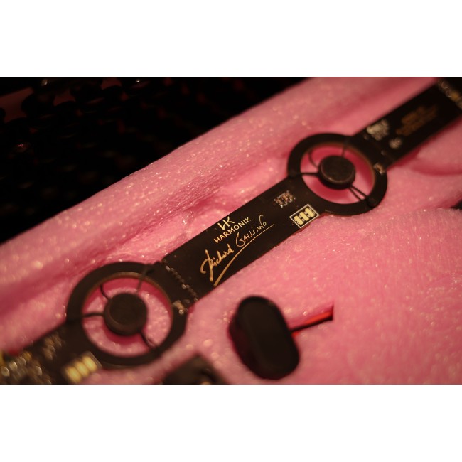 Harmonik AC501-RG by Richard Galliano Kit...