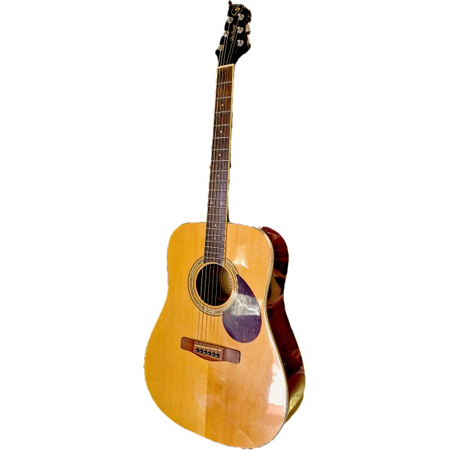 USATO - Samich  Greg Bennet D 5 Acustica  col....