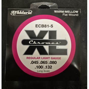 D'ADDARIO ECB81-5