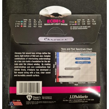 D'ADDARIO ECB81-5 2