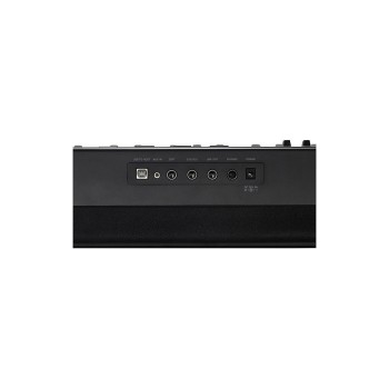 Kurzweil KaE1 LB - Piano digitale 88 tasti