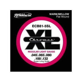 D'ADDARIO ECB81-5SL
