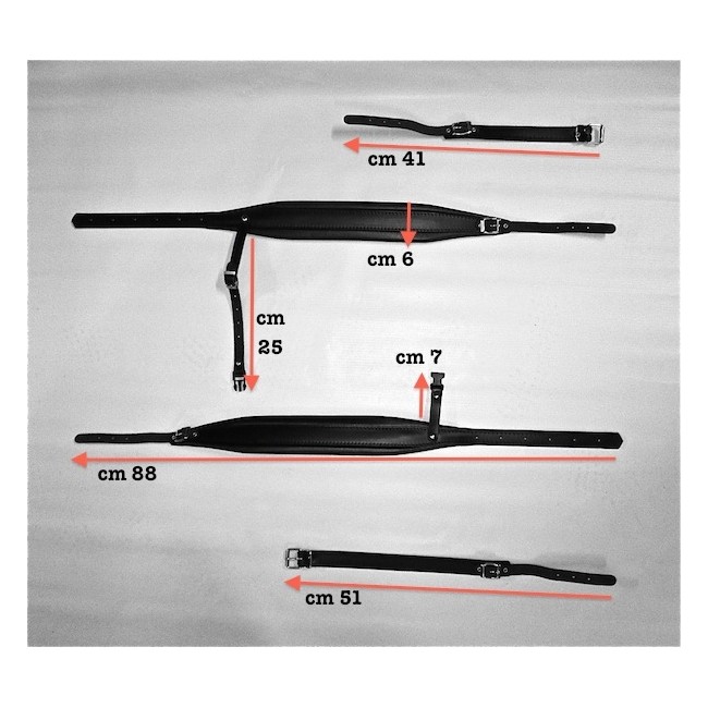 Straps for accordion in Real leather and Art....