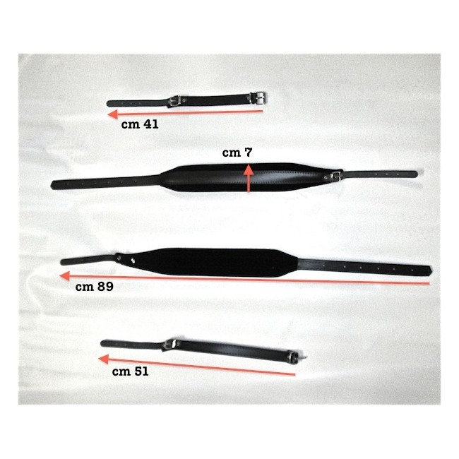 Coppia di tracolle per fisarmonica in Vera...