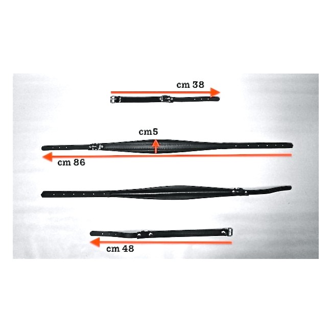 Tracolle per fisarmonica in Vera pelle e...