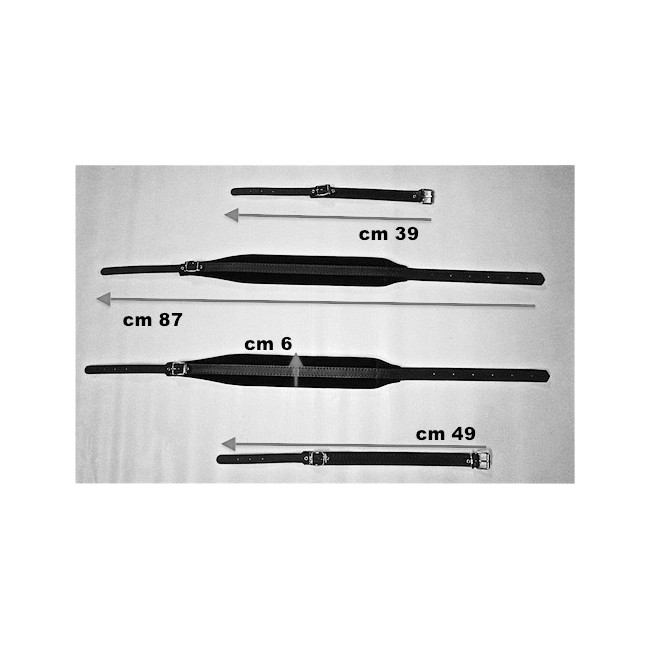 Tracolle per fisarmonica in Vera pelle e...